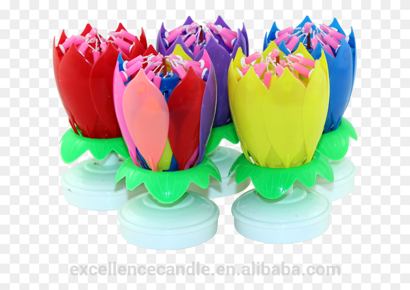 627x534 Venda Quente Flutuante Lotus Msica Velasvela De Aniversrio Tulip, Plant, Glass, Paper HD PNG Download