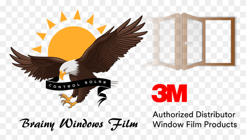 965x516 Venta De Pelcula De Seguridad Para Vidrios 3m Products, Eagle, Bird, Animal HD PNG Download