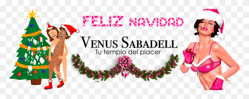 1500x532 Венера Сабадель В Сабаделе Рождественские Украшения, Графика, Рождественская Елка Hd Png Скачать