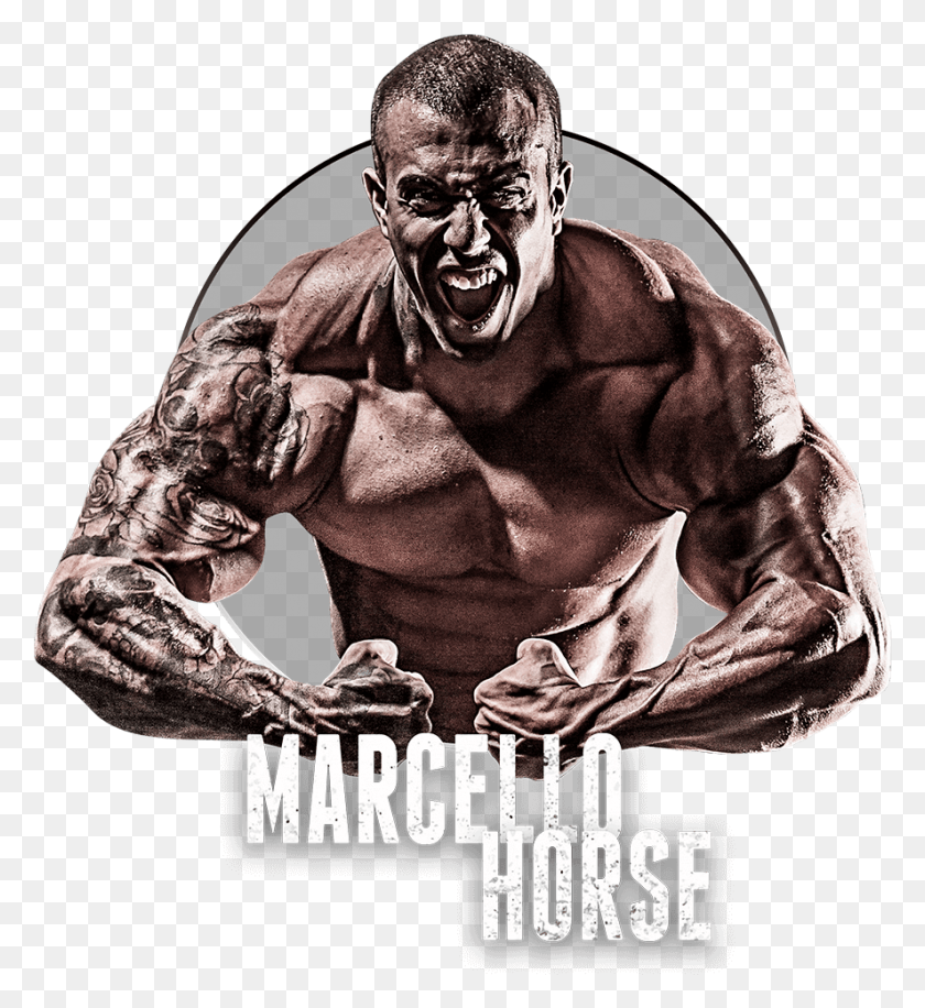 887x974 Ver Perfil Marcello Horse Darkness, Poster, Advertisement, Person HD PNG Download