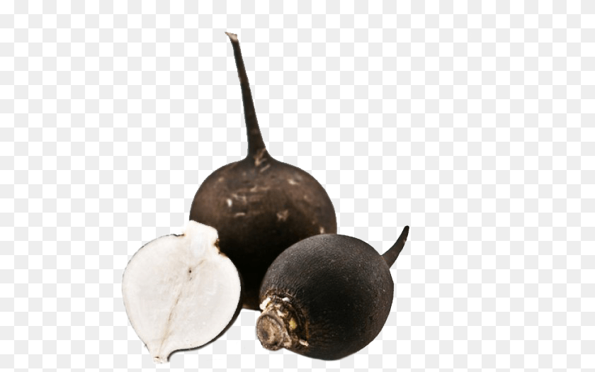 Verdcan Tarim Radish, Food, Produce, Plant, Vegetable Sticker PNG