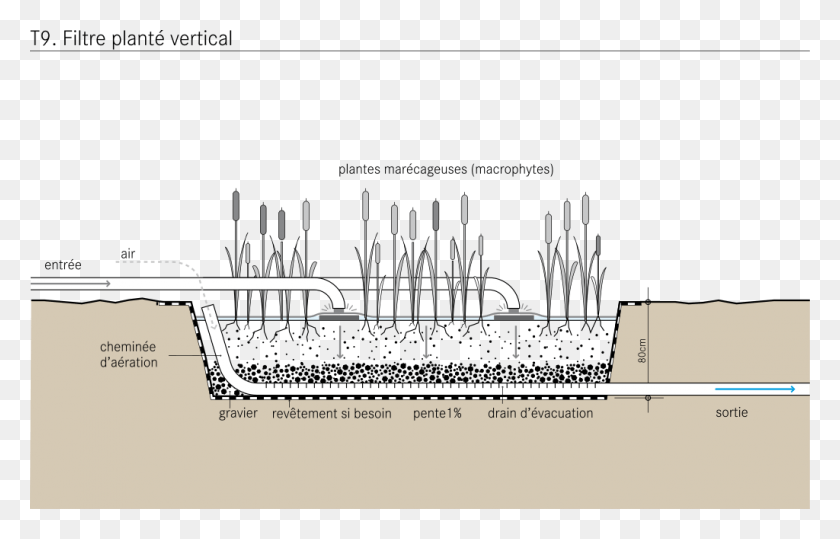 1024x629 Vertical Flow Constructed Wetland Diagram Fr Vertical Flow Constructed Wetland, Plot, Plan, Building HD PNG Download