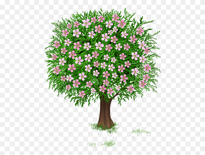480x575 Vesna Derevo Prozrachnij Izobrazheniya Clipart Spring Tree Clipart Transparent, Plant, Flower, Blossom HD PNG Download