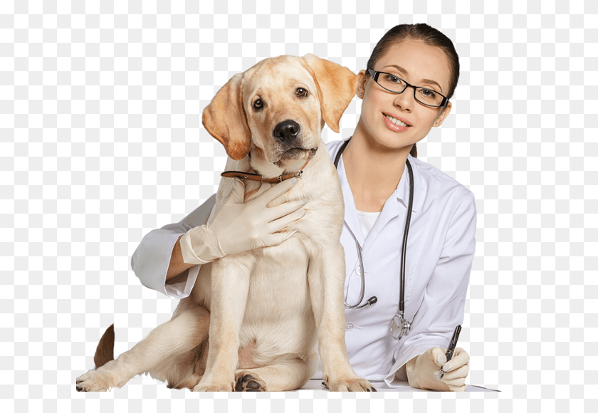628x520 Veterinary Doctor, Person, Human, Dog HD PNG Download