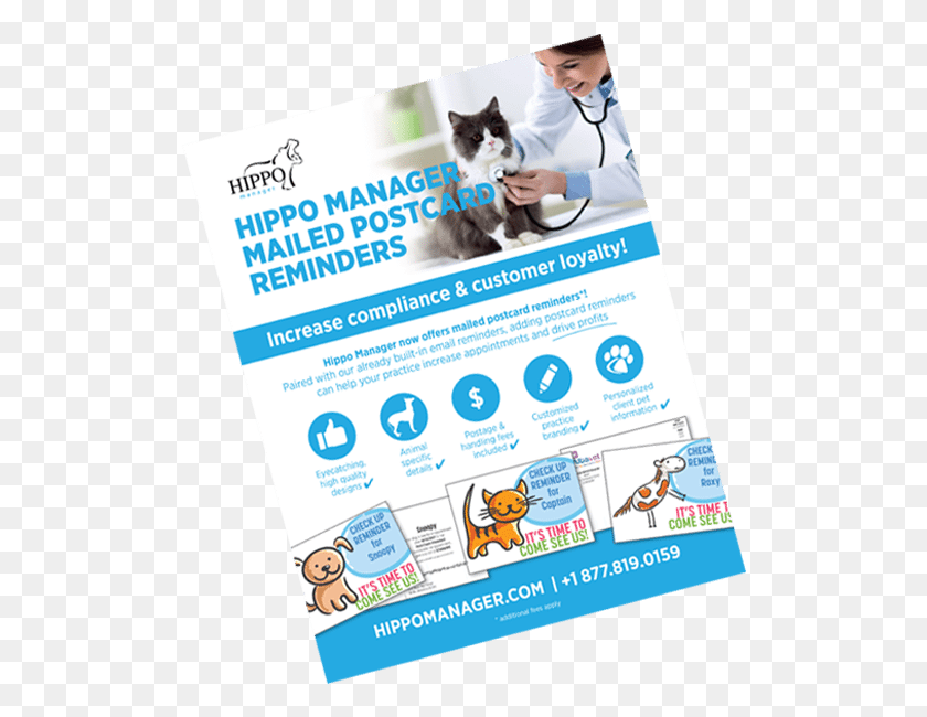 514x590 Veterinary Software Reminder Postcards Flyer, Poster, Paper, Advertisement Descargar Hd Png