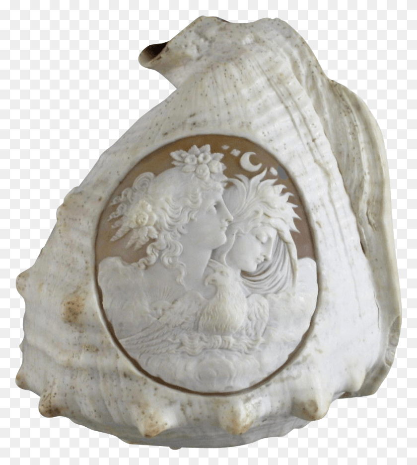 881x989 Victorian Carved Conch Shell C Carving, Sea Life, Animal, Invertebrate HD PNG Download
