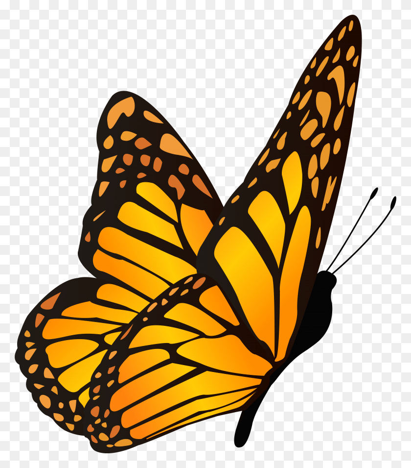 Monarch butterfly Clipart.