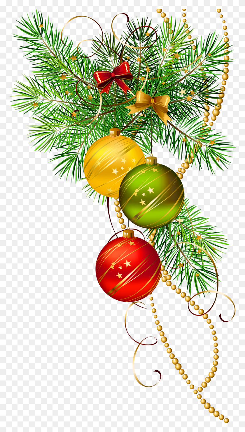 1800x3268 View Full Size, Tree, Plant, Ornament HD PNG Download