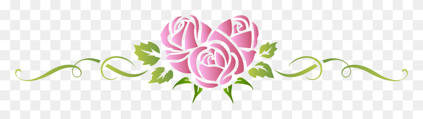 7923x1801 Png Скачать, Роза, Цветок, Роза