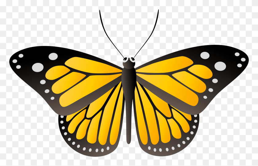 7927x4897 View Full Size Clipart, Insect, Invertebrate, Animal HD PNG Download