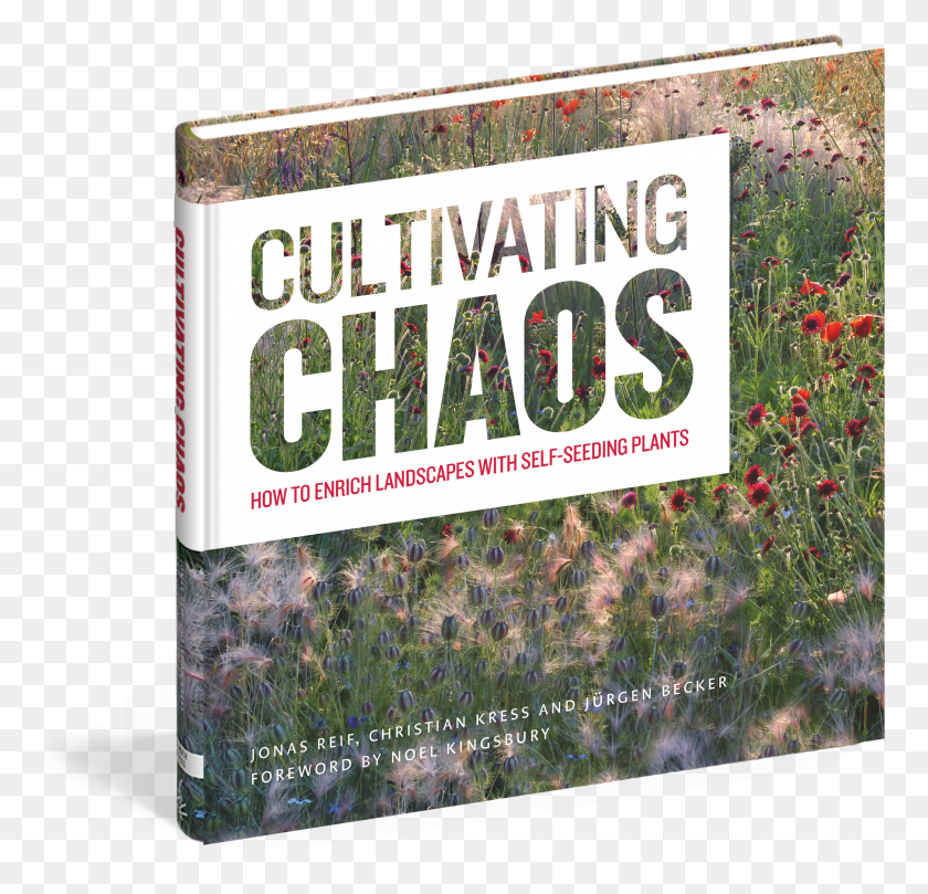 2412x2317 View Full Size Image Cultivating Chaos How To Enrich Landscapes With Self Seeding HD PNG Download