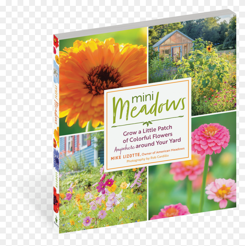 2052x2062 View Full Size Image Mini Meadows Grow A Little Patch Of Colorful Flowers, Advertisement, Poster, Flyer HD PNG Download