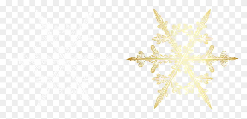 7875x3475 View Full Size Motif, Snowflake, Text, Leaf HD PNG Download