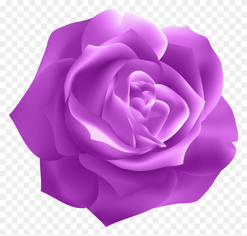 5944x5667 Просмотреть В Полном Размере Прозрачный Темно-Фиолетовый Цветок Hd Png Скачать