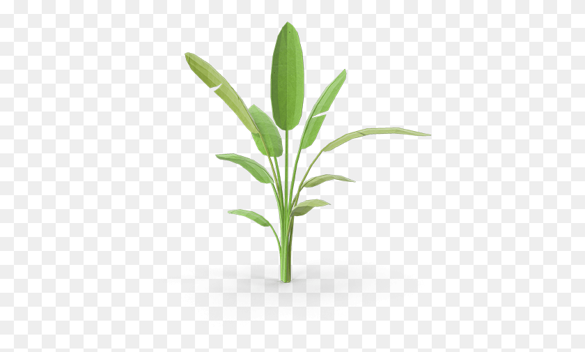 459x445 View In My Picture Houseplant, Plant, Leaf, Flower HD PNG Download