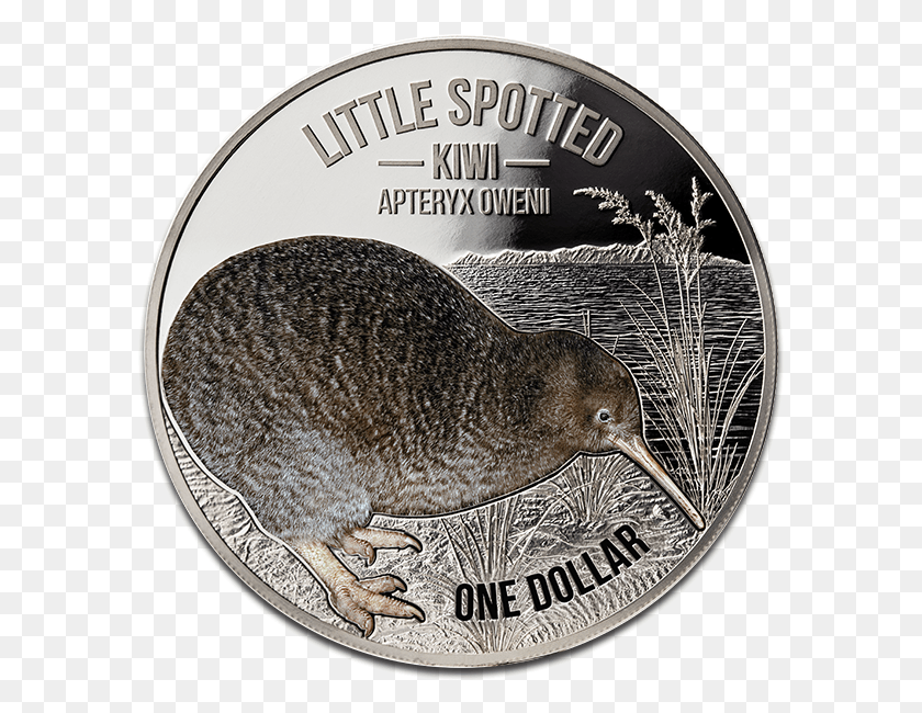 589x590 View Large Image Little Spotted Kiwi Coin, Kiwi Bird, Bird, Animal HD PNG Download