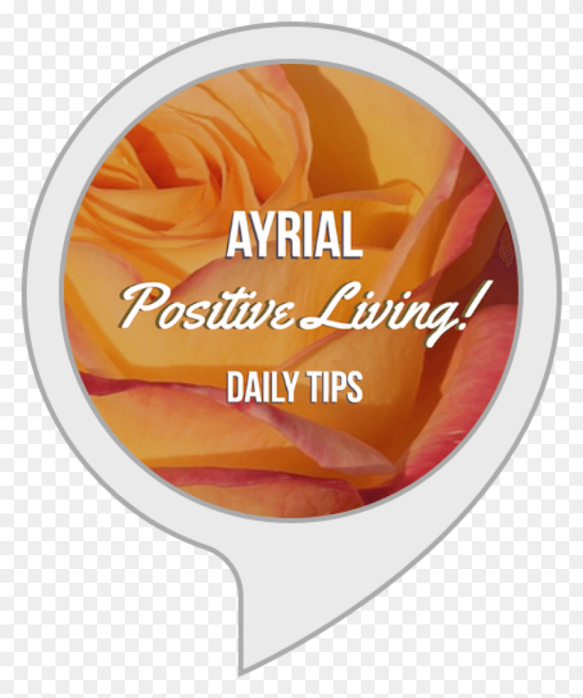906x1099 View Larger Image Ayrial Positive Living Daily Tips Wall Clock, Plant, Food, Fruit HD PNG Download
