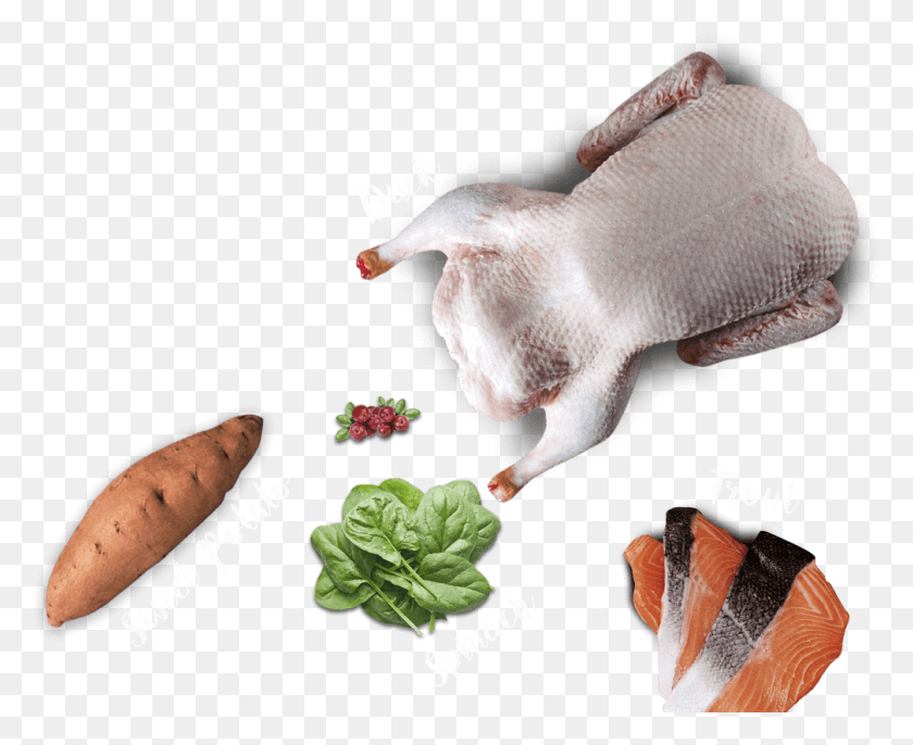 1008x809 View More Chicken, Plant, Vegetable, Food HD PNG Download