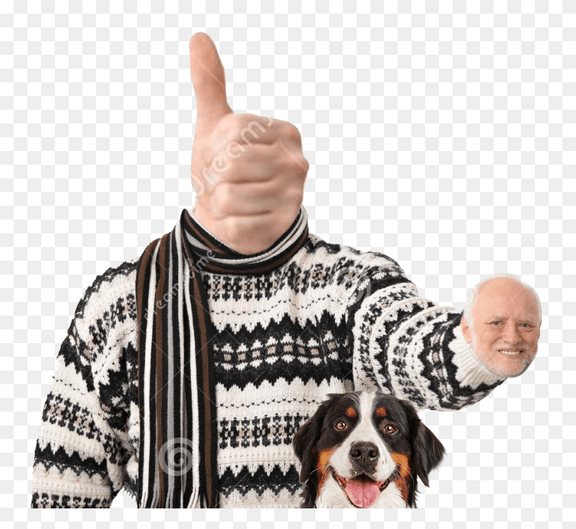943x860 View Noice Hide The Pain Harold Sweater, Person, Human, Clothing HD PNG Download