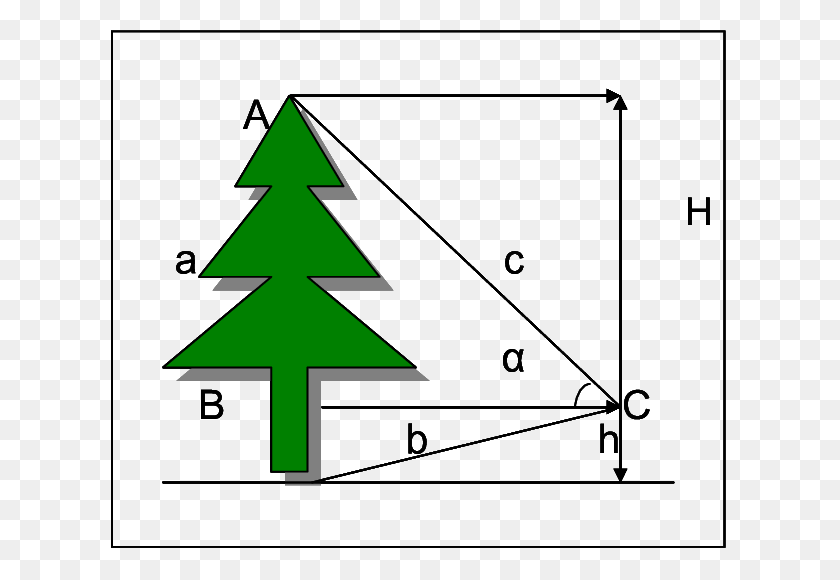 617x520 View Of Tree Height Measurement By Theodolite At Dbh Triangle, Plant, Ornament, Plot HD PNG Download