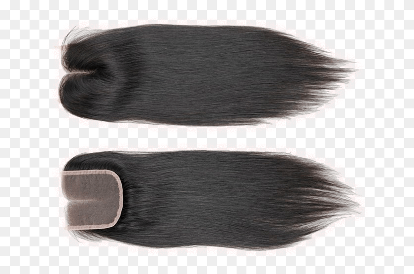 657x496 View Packages Lace Wig, Mammal, Animal, Hog HD PNG Download