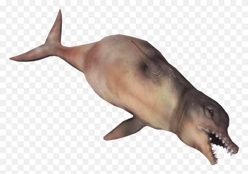 1120x763 View Samegoogleiqdbsaucenao Fo4 Dolphin Whale Render Fallout Sea Creatures, Animal, Mammal, Person HD PNG Download