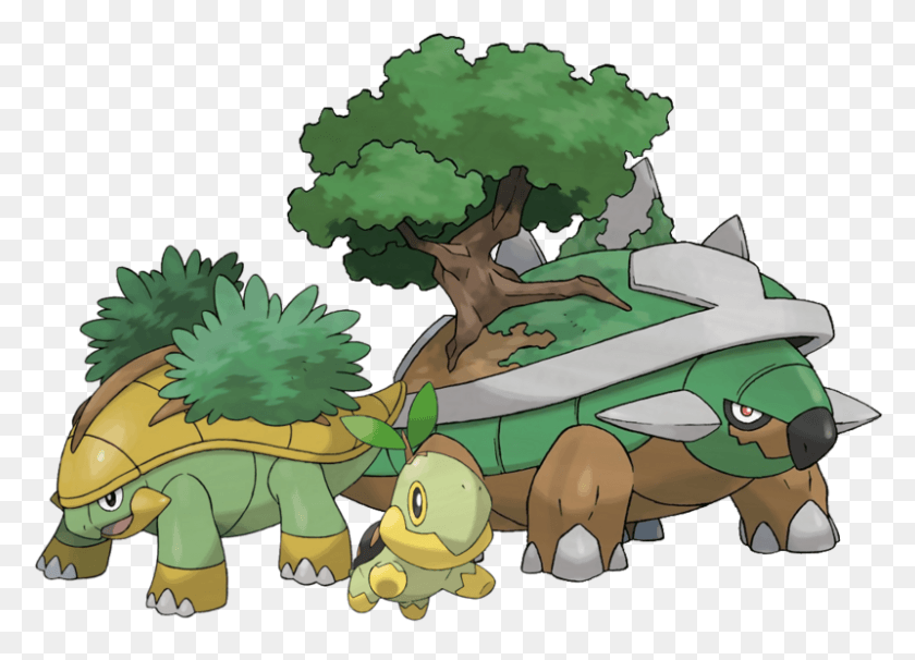800x561 View Torterraline Turtwig Grotle And Torterra, Vegetation, Plant HD PNG Download