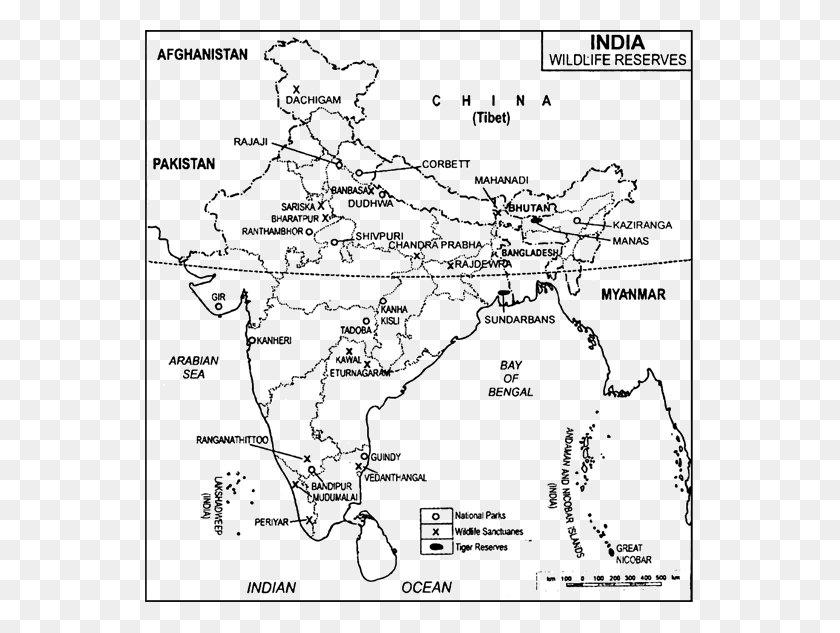 549x573 Views Show The National Park Of India, Plot, Map, Diagram HD PNG Download