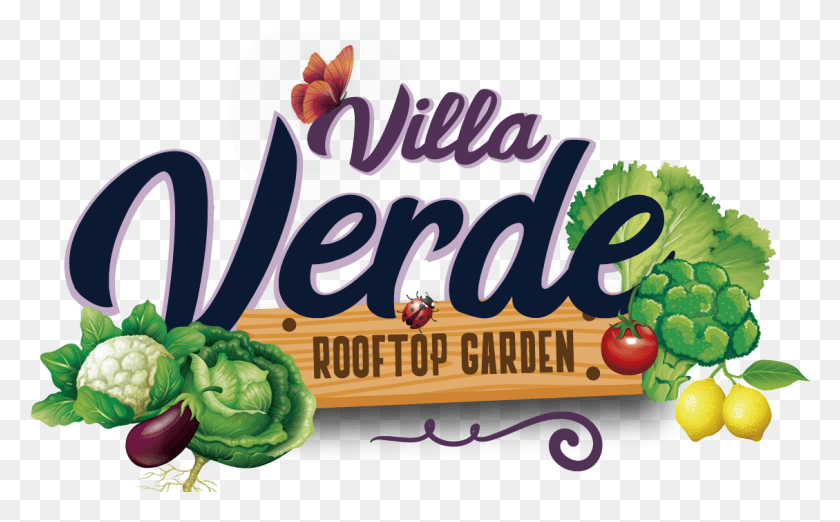 1129x669 Villa Verde Rooftop Community Garden Seedless Fruit, Plant, Text, Food HD PNG Download