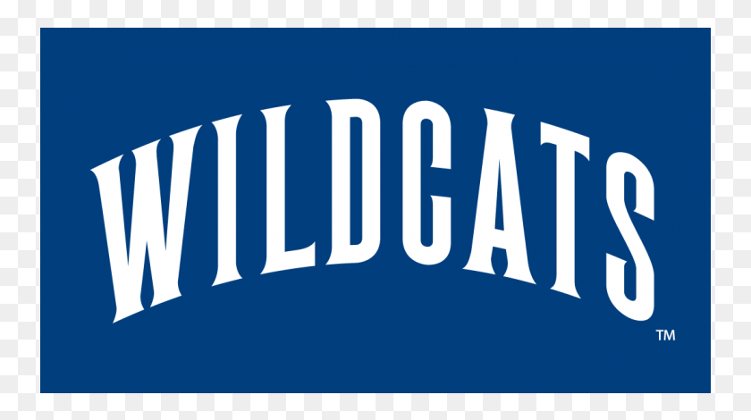 751x410 Вилланова Wildcats Утюг На Наклейках И Отклеивающиеся Наклейки Графический Дизайн, Слово, Текст, Этикетка Hd Png Скачать
