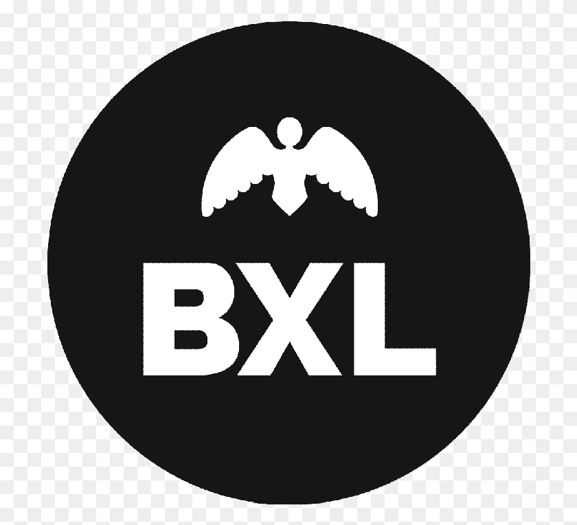 704x705 Ville De Bruxelles Emblem, Symbol, Logo, Trademark HD PNG Download