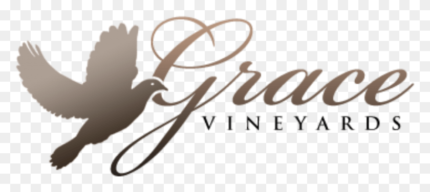 900x365 Vine And Dine, Text, Handwriting, Calligraphy HD PNG Download