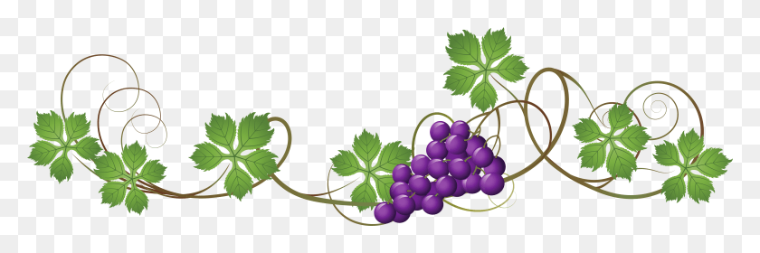 5001x1411 Vine Decoration Clipart Grape Vine Transparent Background, Plant, Leaf, Grapes HD PNG Download