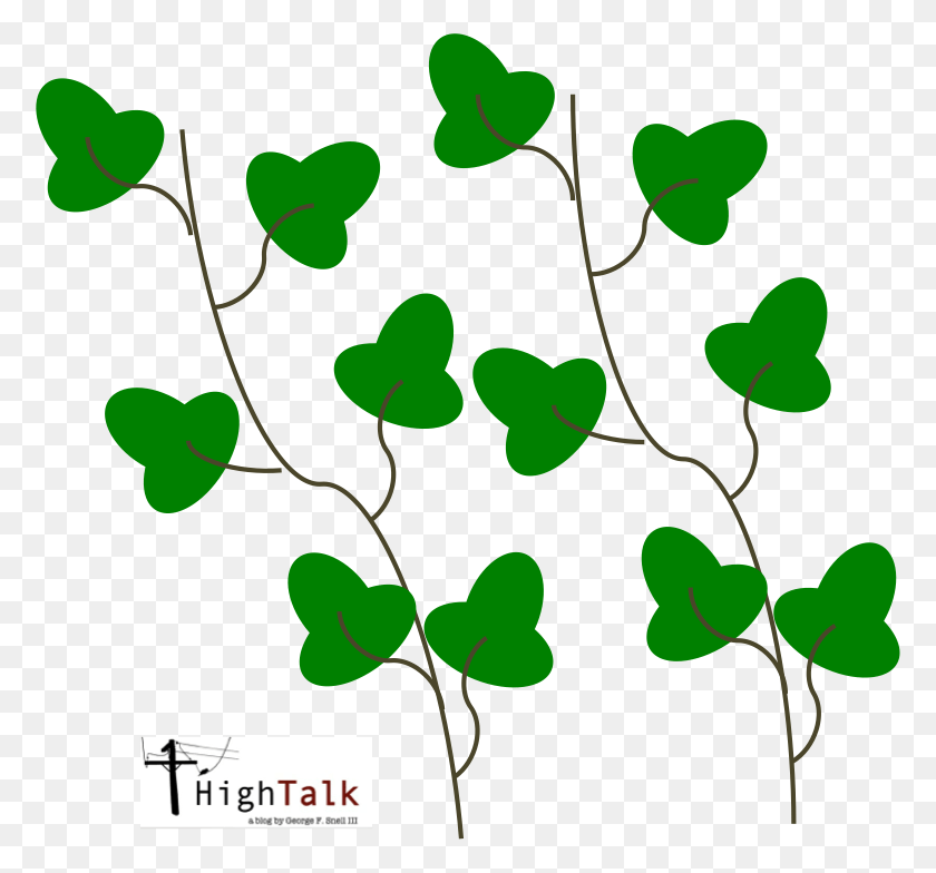 776x724 Vines Are Some Of The Most Beautiful Plants In The, Leaf, Plant, Green HD PNG Download