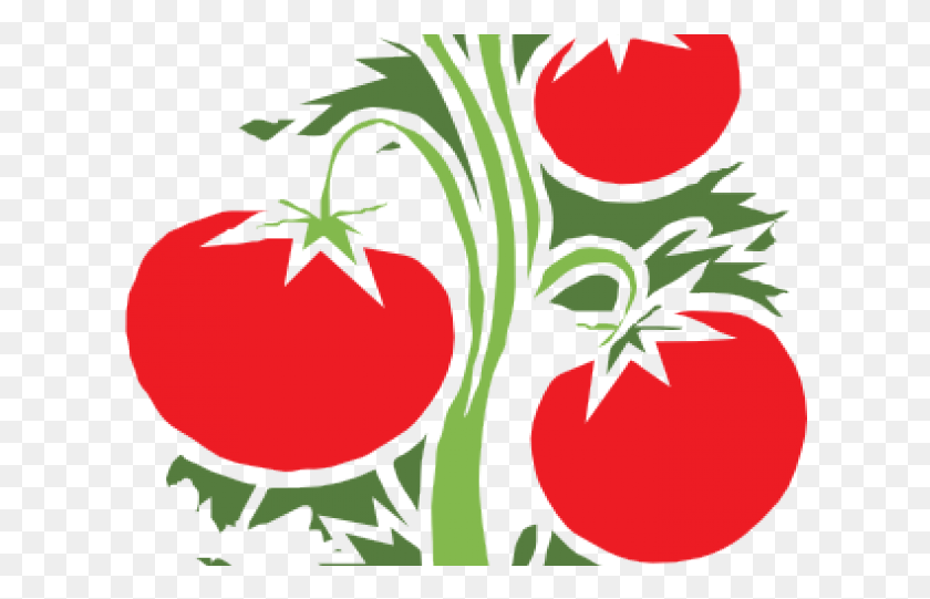 618x481 Vines Clipart Animated Tomato Tree Illustration, Plant, Vegetable, Food HD PNG Download