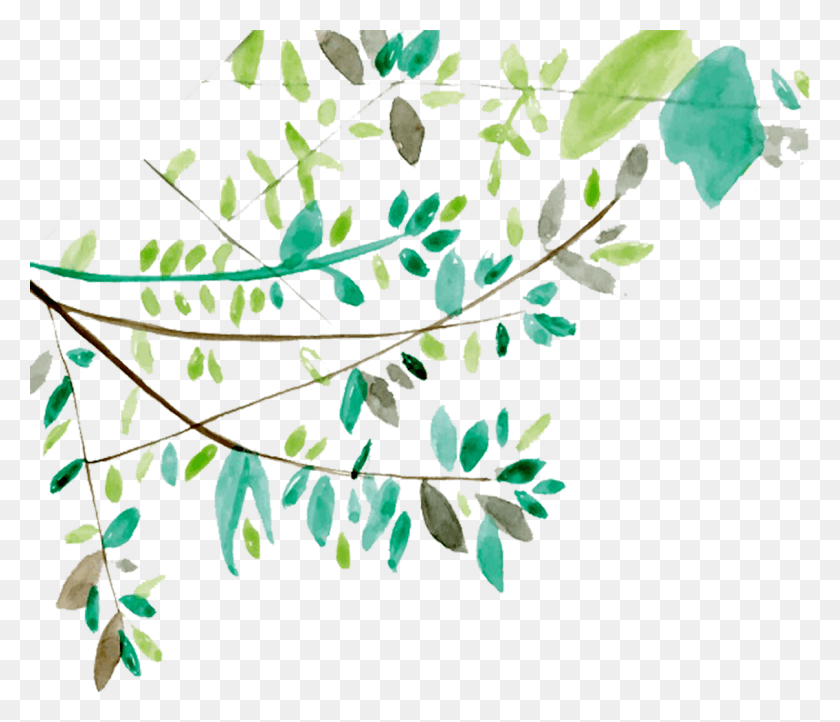 1205x1024 Vines Clipart Watercolor Tree Branches With Leaves Watercolor, Leaf, Plant, Flower HD PNG Download
