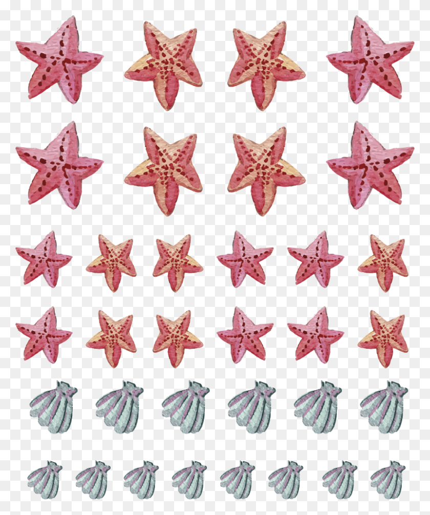 801x973 Vinilo Marinero Estrella De Mar Craft, Star Symbol, Symbol, Sea Life HD PNG Download