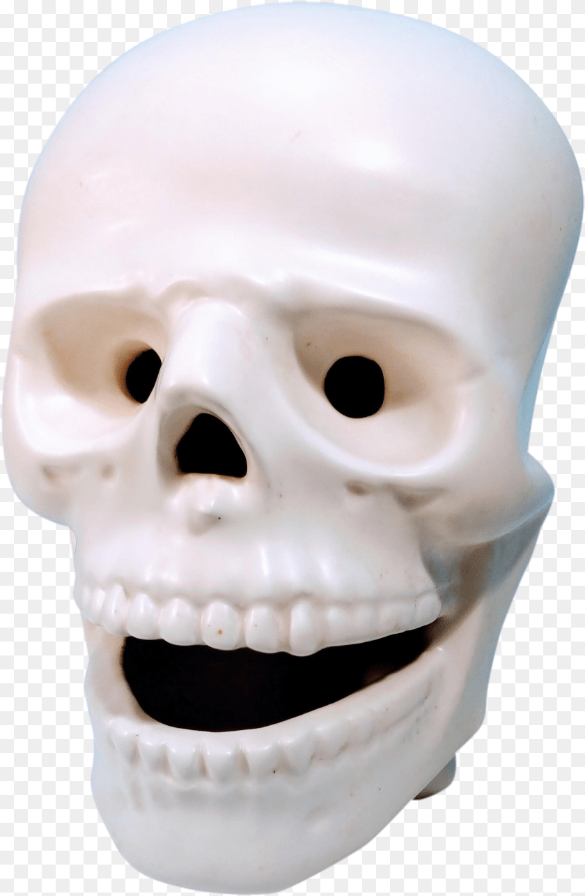 1796x2748 Vintage Atlantic Mold Company Atribued Bone Head Face Facial Skull Skeleton Skull, Baby, Person, Mask Transparent PNG