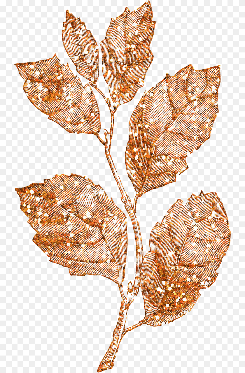 Vintage Botanical Illustration Black And White, Leaf, Plant, Chandelier, Lamp Sticker PNG