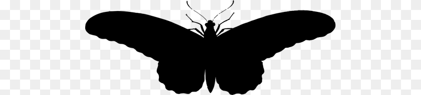 500x191 Vintage Butterfly Illustration Silhouette, Gray Transparent PNG