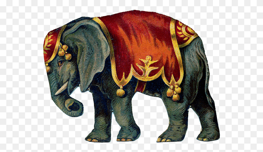 567x427 Винтажный Цирк Слон, Дикая Природа, Млекопитающее, Животное Hd Png Скачать