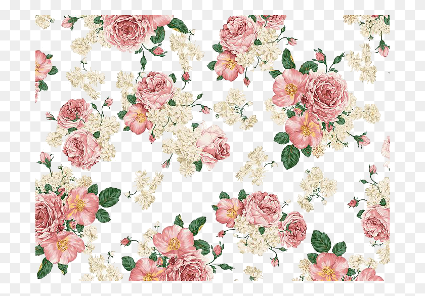 700x525 Vintage Floral Background, Floral Design, Pattern, Graphics HD PNG Download