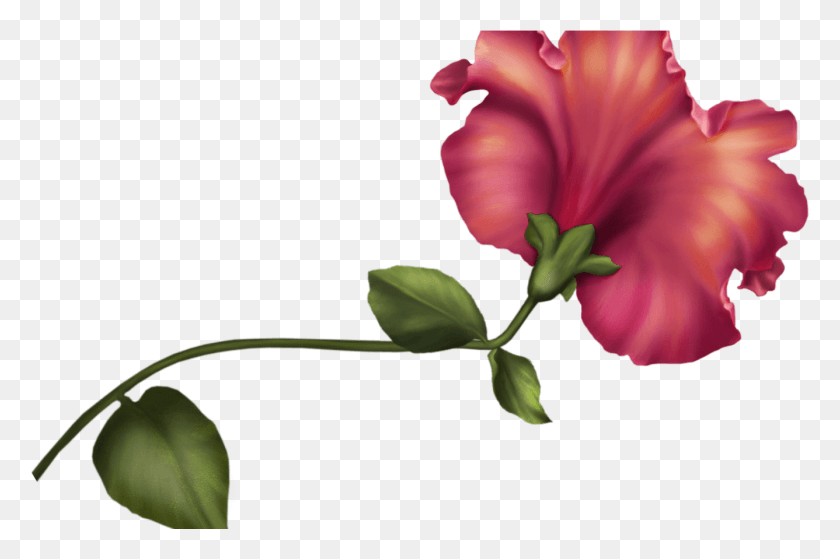 1336x856 Vintage Flower Clip Art Best Web Clipart Vintage Flower Clipart, Plant, Blossom, Rose HD PNG Download