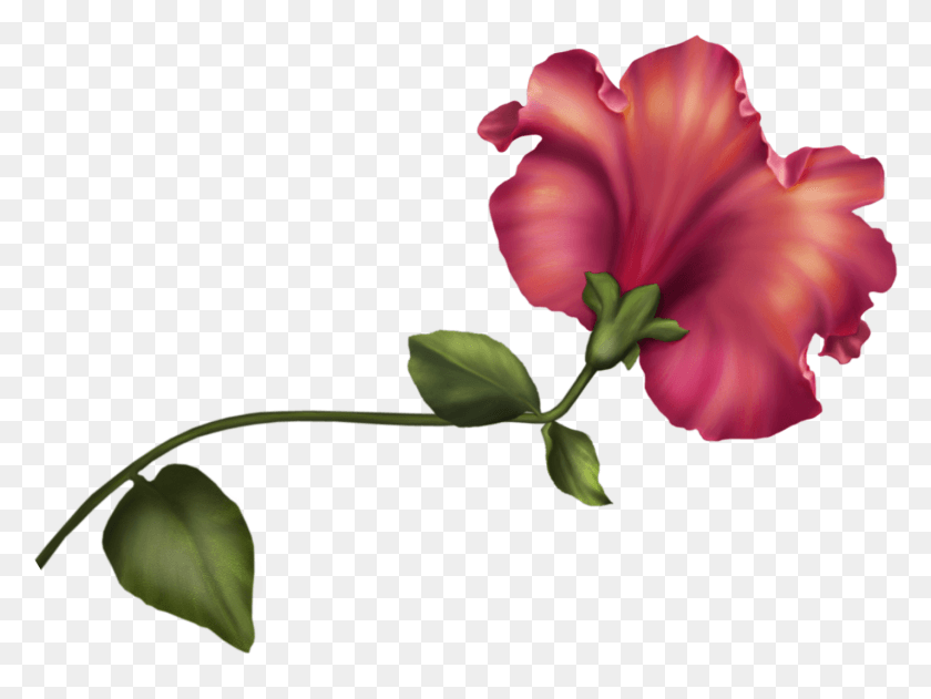 1427x1046 Vintage Flower Clip Art Vintage Flower Clipart, Plant, Petal, Blossom HD PNG Download