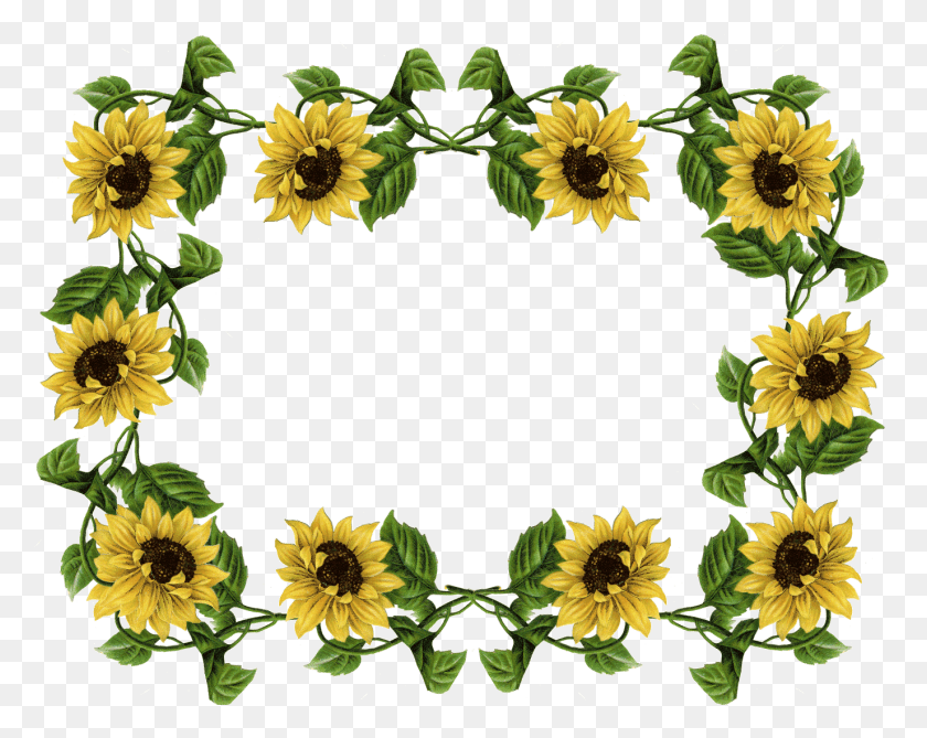1375x1075 Vintage Flower Frame Border Free Digital Sunflower Borders, Plant, Flower, Blossom HD PNG Download