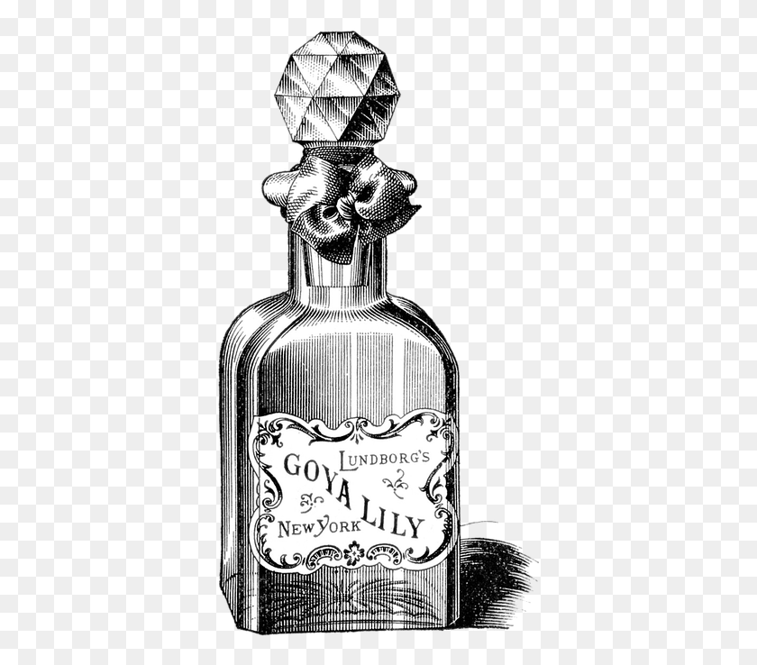 361x678 Vintage Perfume Photo Vintage Poison Bottle Drawing, Liquor, Alcohol, Beverage HD PNG Download