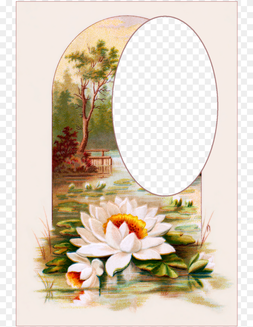 Vintage Postcards Flowers Picture, Art, Painting, Plant, Flower Sticker PNG