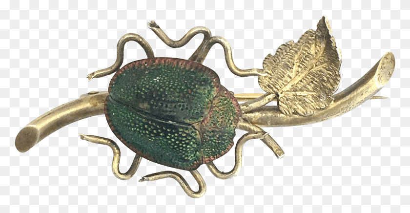1690x815 Vintage Real Scarab Beetle Brooch Weevil, Snake, Reptile, Animal HD PNG Download