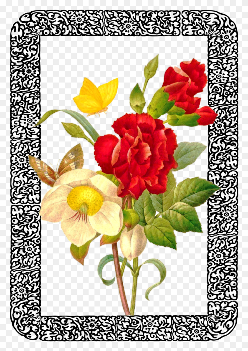 871x1263 Vintage Rose Bouquet Framed Image Redoute The Book Of Flowers, Plant, Flower, Blossom HD PNG Download