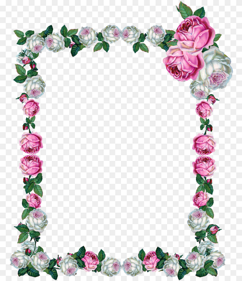 Vintage Rosen Rahmen, Flower, Plant, Rose, Flower Arrangement Clipart PNG